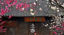 干貨！享受服務(wù)外包所得稅優(yōu)惠的風(fēng)險點(diǎn)