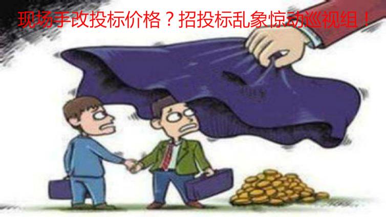現場手改投標價格？招投標亂象驚動巡視組！